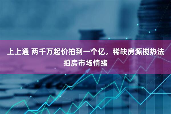 上上通 两千万起价拍到一个亿，稀缺房源搅热法拍房市场情绪