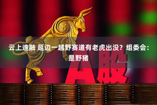 云上速融 延边一越野赛道有老虎出没？组委会：是野猪