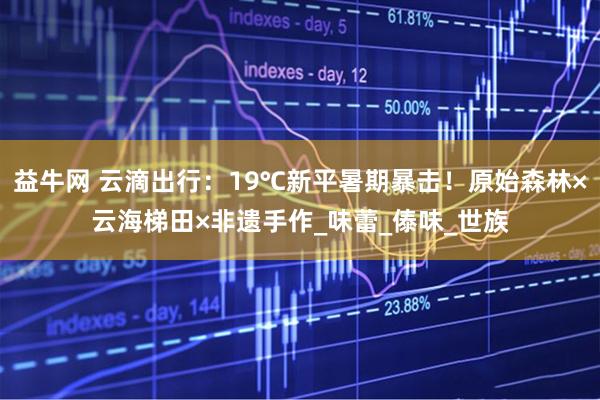 益牛网 云滴出行：19℃新平暑期暴击！原始森林×云海梯田×非遗手作_味蕾_傣味_世族